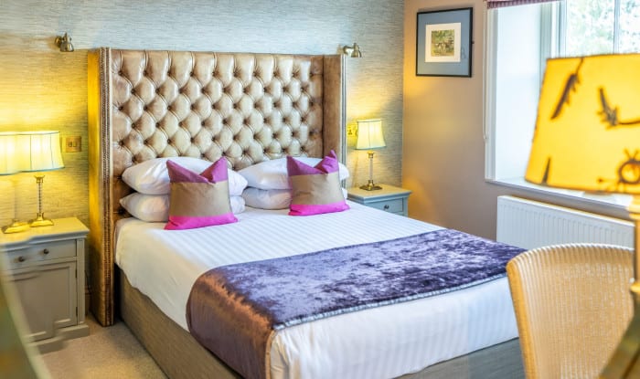 Close-up of a hotel room bed with a tufted headboard, vibrant cushions, and natural light from a nearby window with a potted plant on the sill.