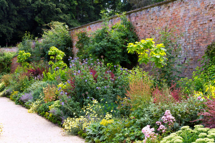 A vibrant walled garden filled with layered flowers and foliage in purples, yellows, and pinks, bordered by a gravel path beside a tall brick wall.