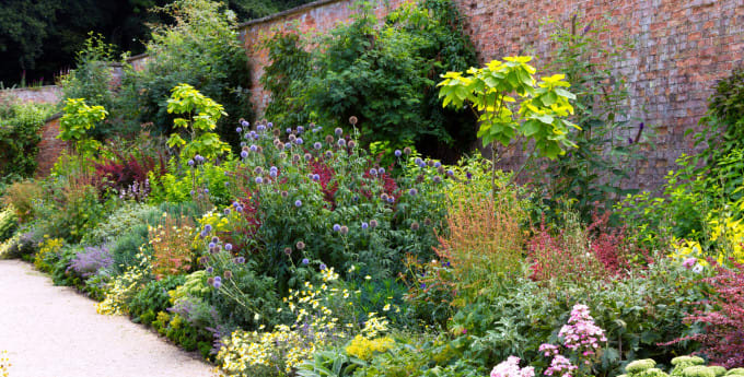 A vibrant walled garden filled with layered flowers and foliage in purples, yellows, and pinks, bordered by a gravel path beside a tall brick wall.