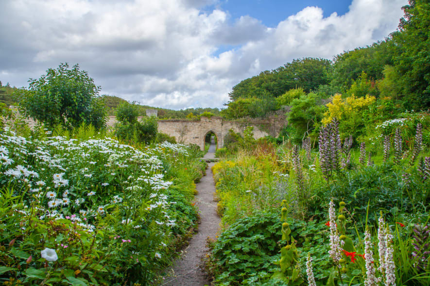 A garden path lined with wildflowers leads to an old stone archway covered in greenery, surrounded by dense plants and soft, natural light.