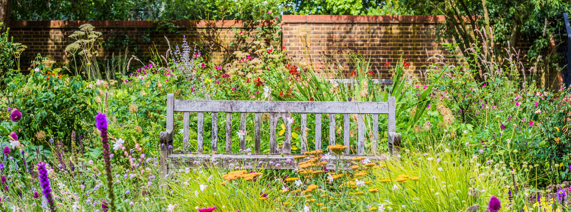 A weathered wooden bench sits among tall grasses and colourful flowers in a secluded garden, enclosed by a brick wall and shaded by mature trees.
