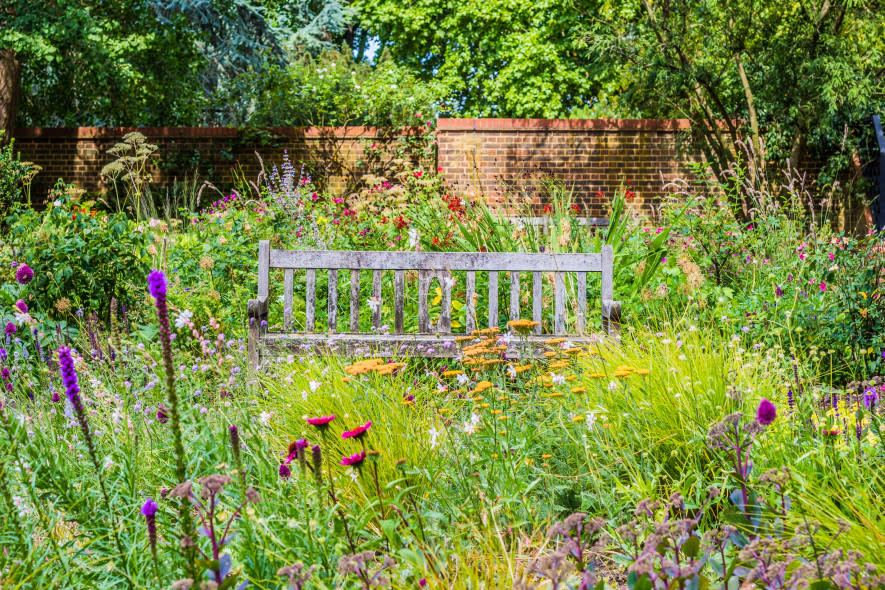 A weathered wooden bench sits among tall grasses and colourful flowers in a secluded garden, enclosed by a brick wall and shaded by mature trees.