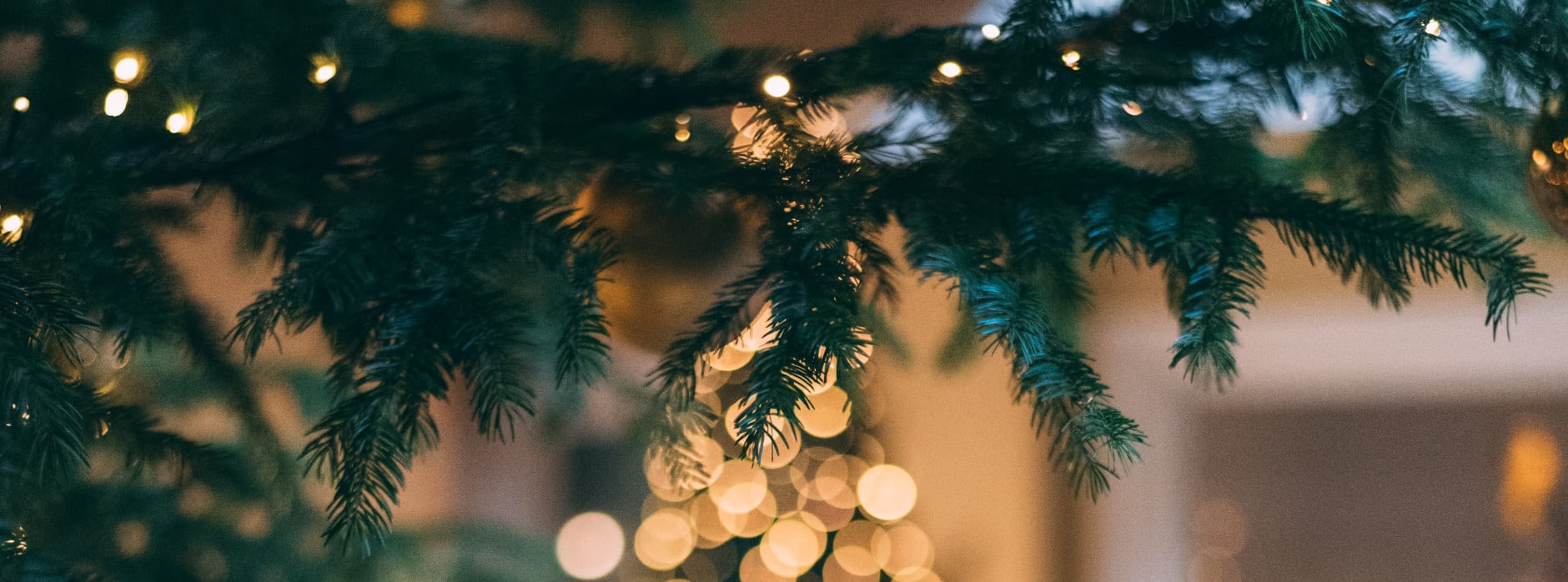 christmas day tree lunch lincoln