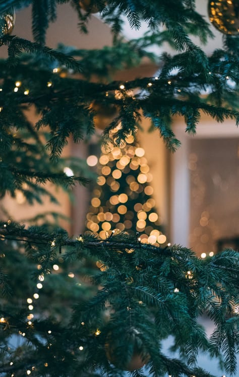 christmas day tree lunch lincoln