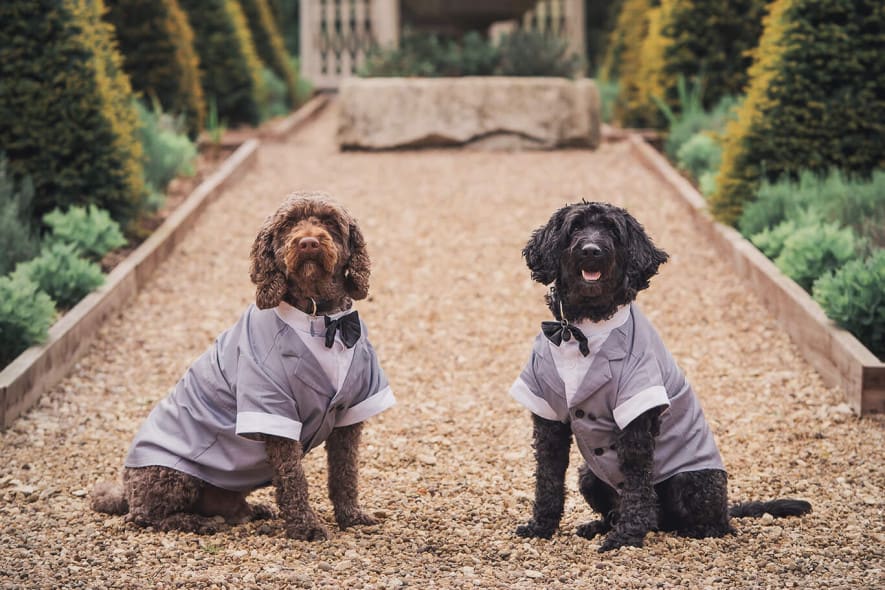Wedding at Washingborough Hall