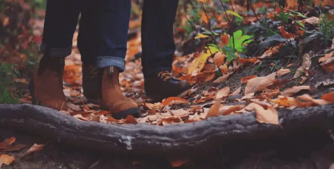 Autumn walks