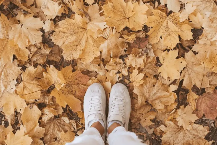 autumn leaves feet