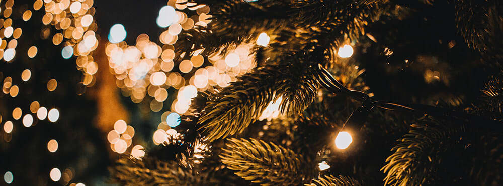 Christmas tree lights