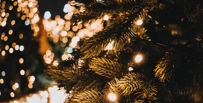 Christmas tree lights