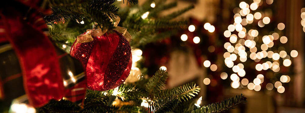 tessa-rampersad-5toRIWF2GUY-unsplash