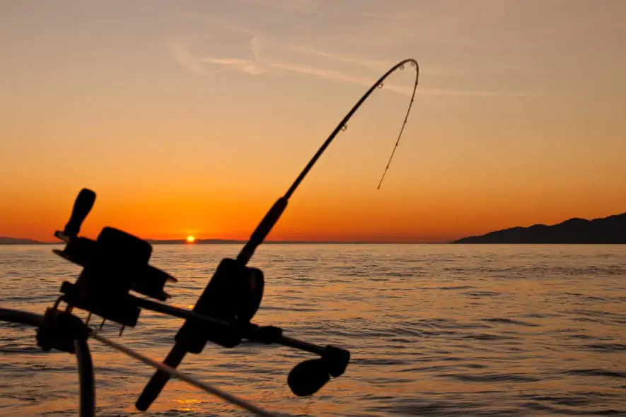 night fishing