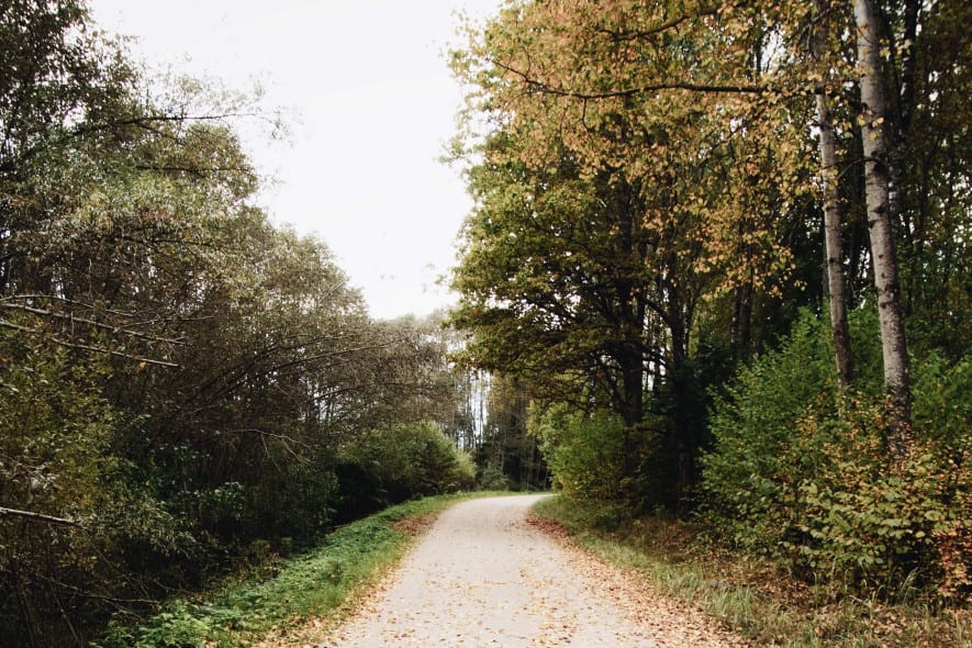 pexels-ivars-4324352 (1)