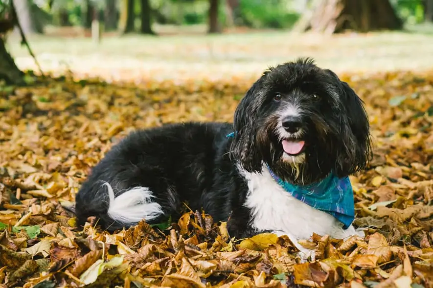 melissa-keizer-DRLvpgppkeE-unsplash (1)