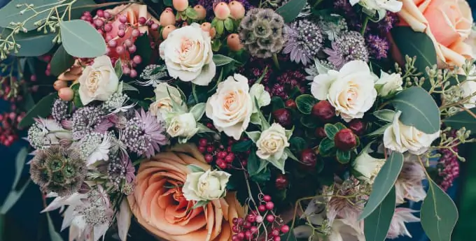 annie-spratt-01Wa3tPoQQ8-unsplash (1)
