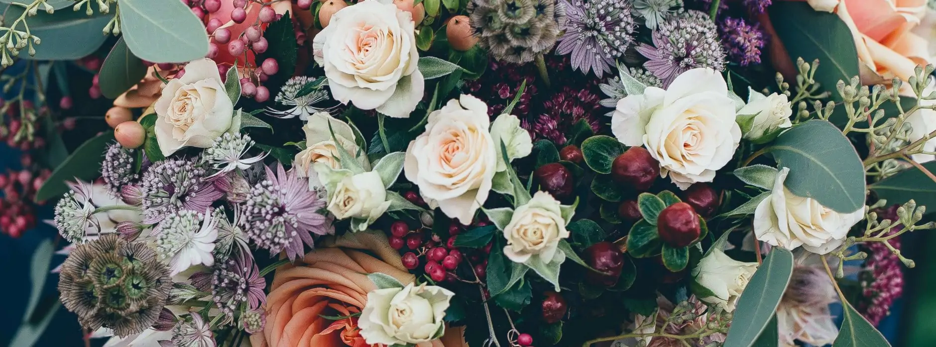 annie-spratt-01Wa3tPoQQ8-unsplash (1)