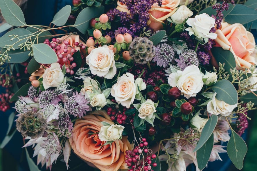 annie-spratt-01Wa3tPoQQ8-unsplash (1)