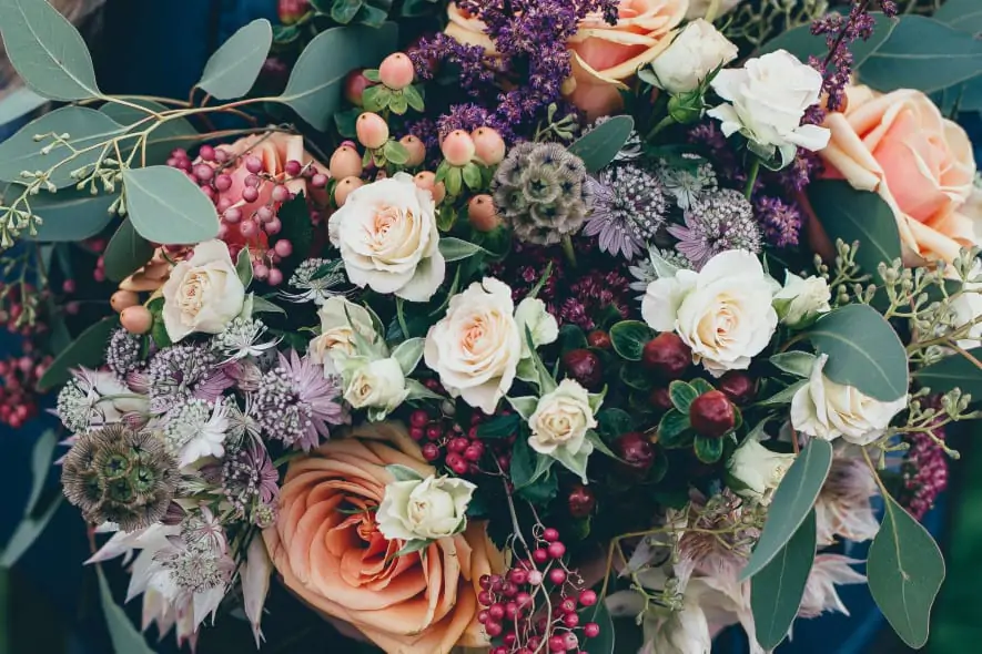 annie-spratt-01Wa3tPoQQ8-unsplash (1)