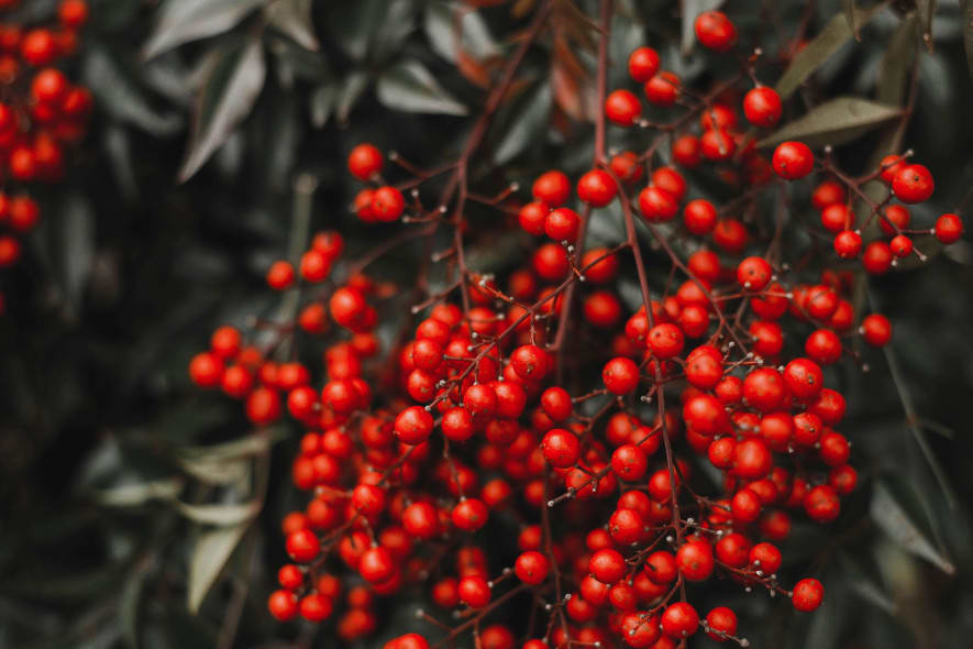 anna-land-m0YkjtXmpgM-unsplash (1)