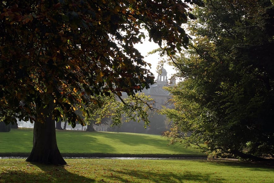 House view behind trees in Autumn
