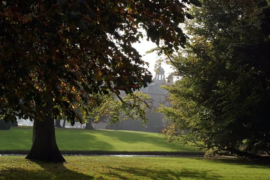 House view behind trees in Autumn