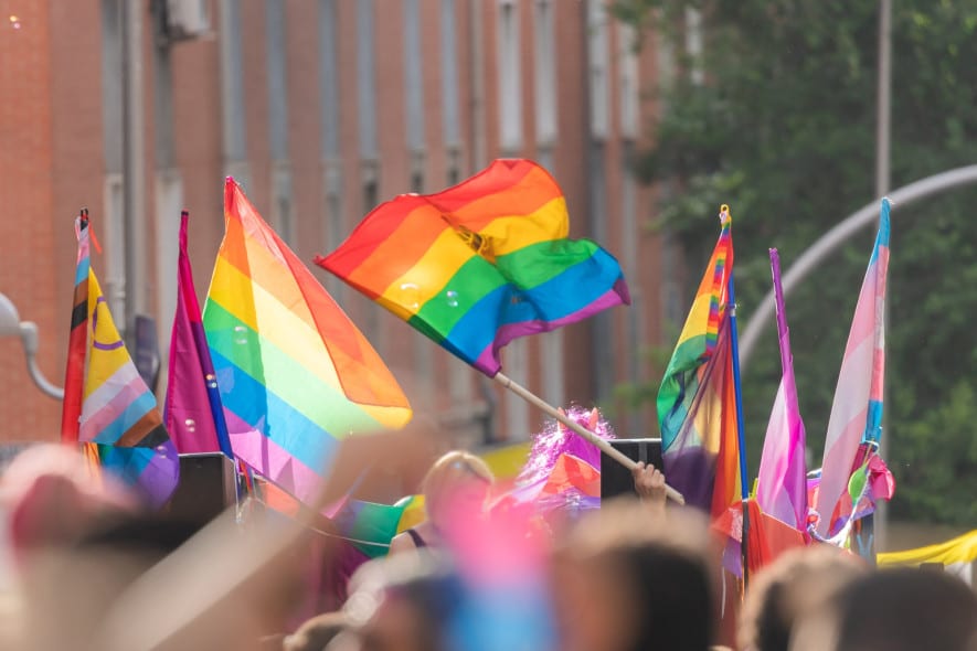 A vibrant crowd at a pride parade waving rainbow and LGBTQ+ flags, with sunlight illuminating the colorful banners against a backdrop of buildings and trees.