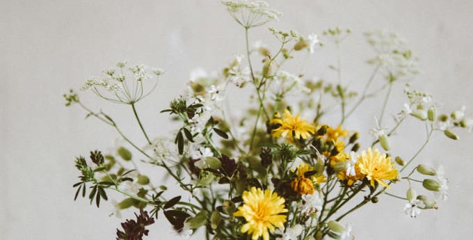 Dainty flowers