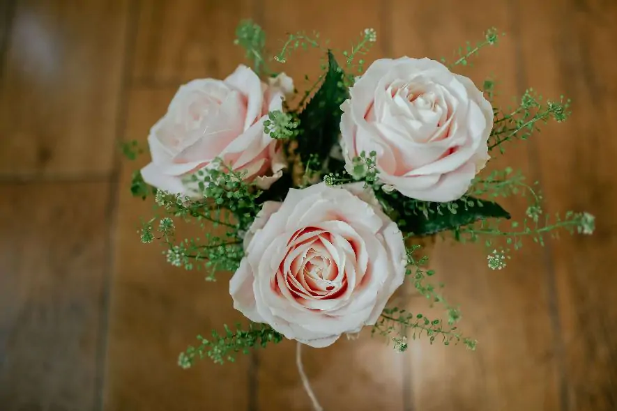 Roses