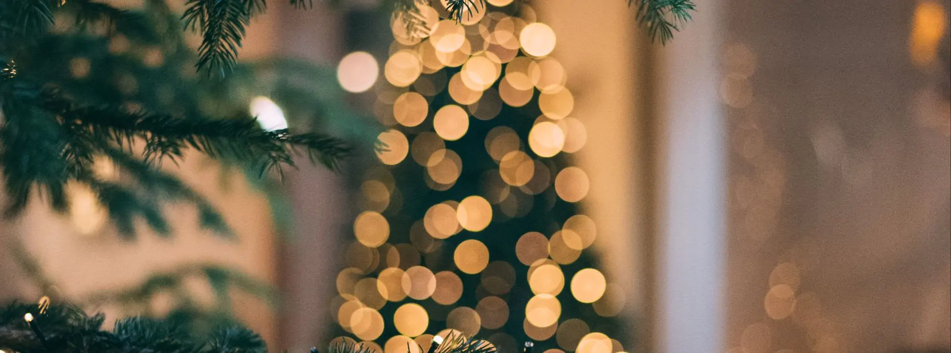 christmas day tree lunch lincoln